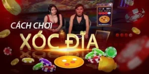 Xóc Đĩa Tại U888: Bí Kíp Thắng Lớn Trong Trò Chơi Đầy Kịch Tính